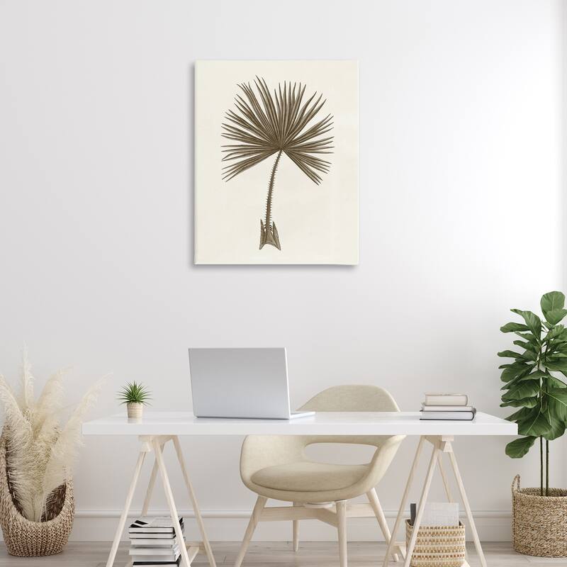 Stupell Vintage Study of Palm Leaf Canvas Wall Art Design By Phillipa Katz