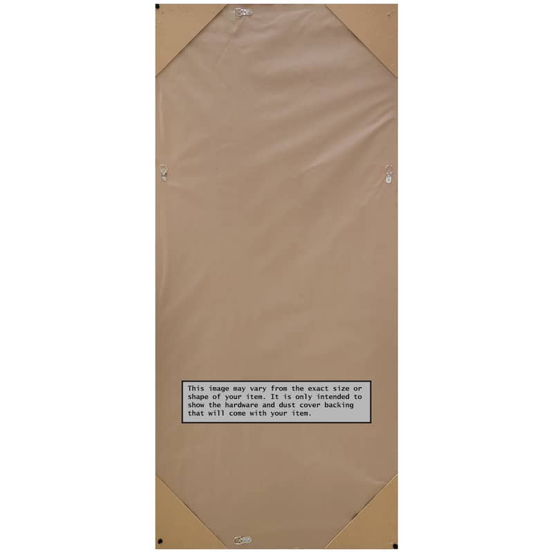 Non-Beveled Full Length On The Door Mirror 50.5 x 16.5 in. - Salon Frame - Salon Silver Narrow - 16 x 50 in
