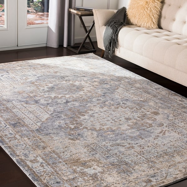 slide 2 of 10, Artistic Weavers Delora Distressed Persian Grey Area Rug Rectangle - 2' 7" x 5'