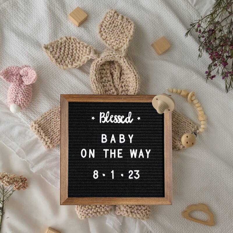 Wood Frame Letter Board with 389 PP Letters and Canvas Carry Bag