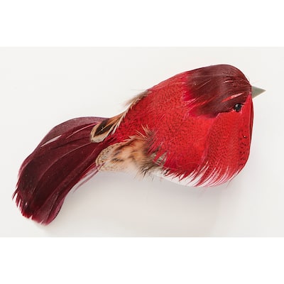 4.5" Feathered Bird with Metal Clip, Red, Set of 6 - 4.5