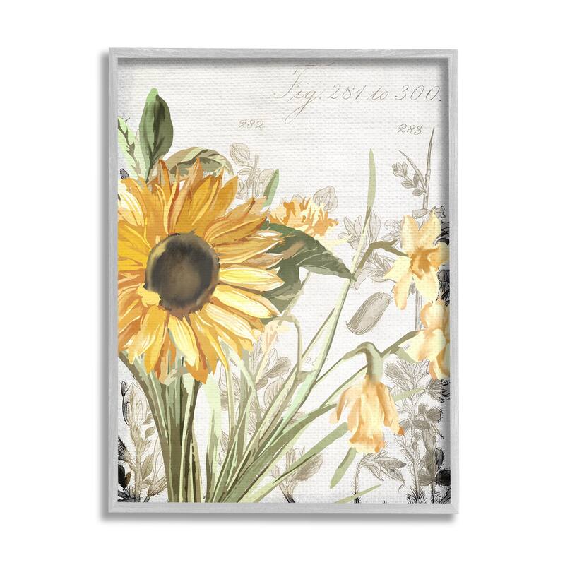Stupell Soft Sunflower Floral over Vintage Plant Illustration Framed Giclee Texturized Art by Kim Allen