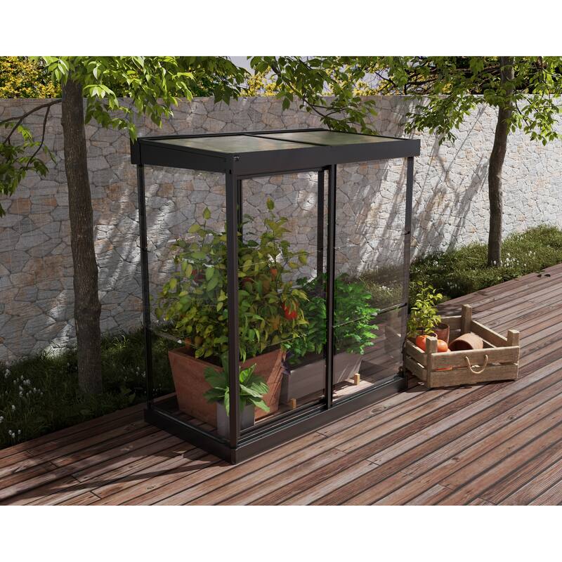 Ivy 4 ft. x 2 ft. Black/Clear Mini Greenhouse Kit - 4ft. x 2ft. - 4ft. x 2ft.