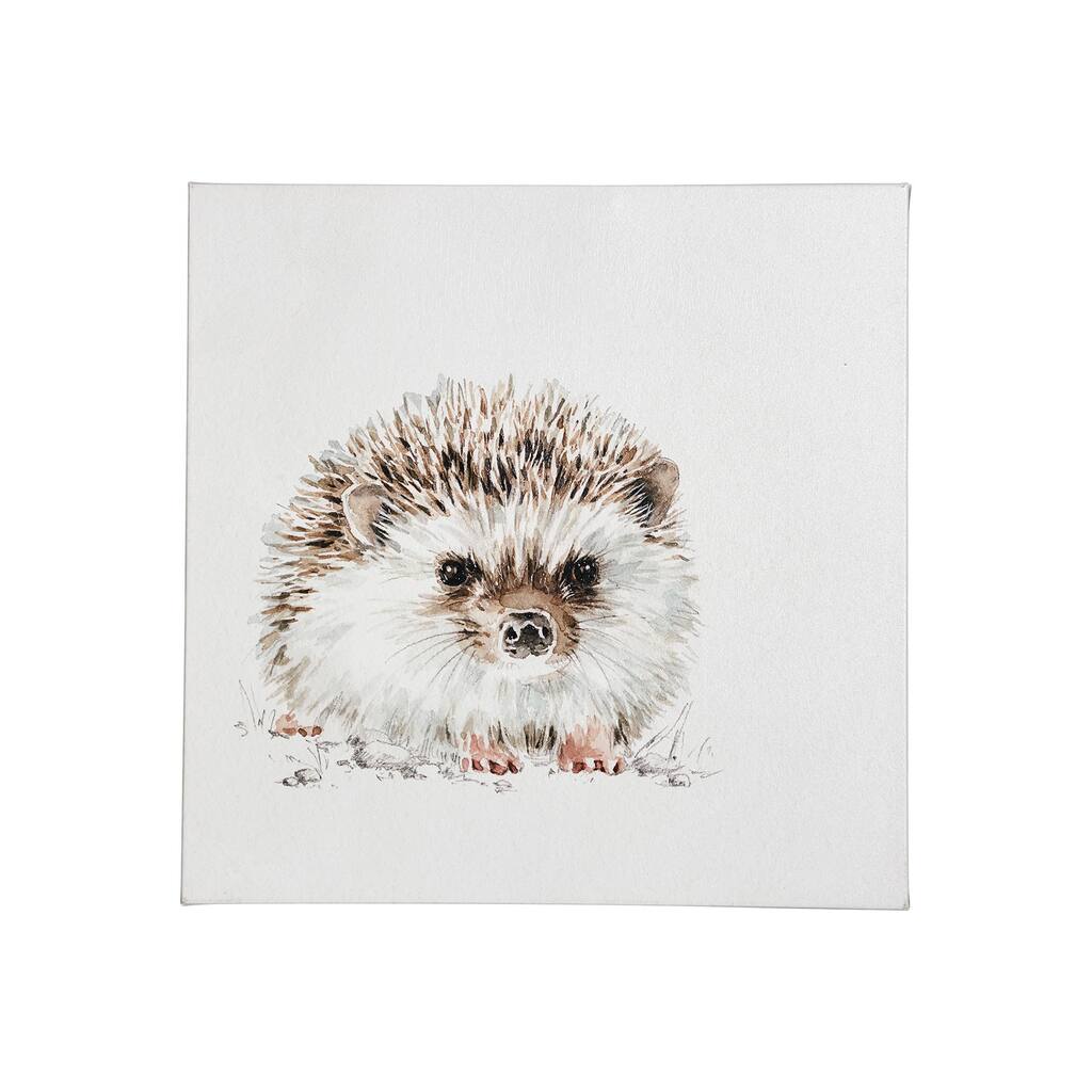 Forest Friends VII (Hedgehog) (30 x 30) Canvas Art Print