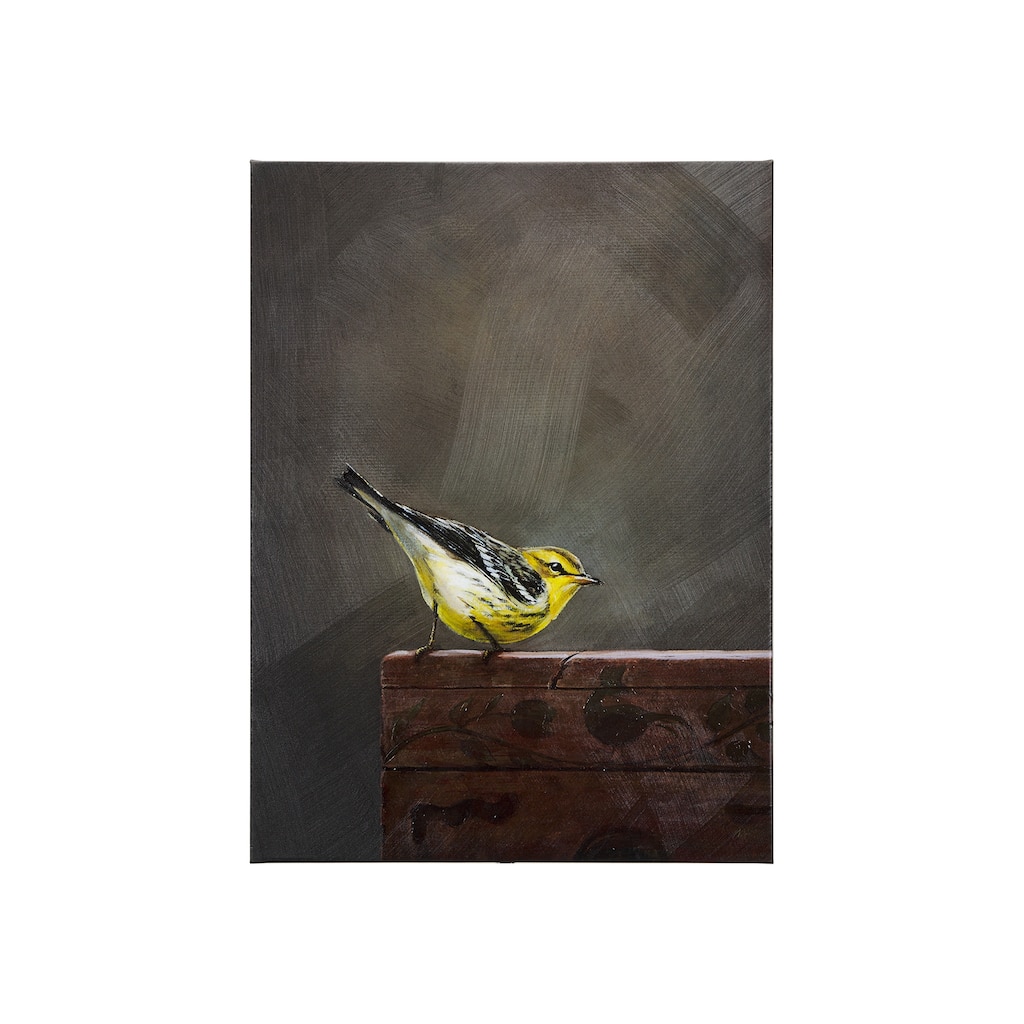 Graceful Poise IV (Blackburnian Warbler)(30 x 40) Canvas Art Print