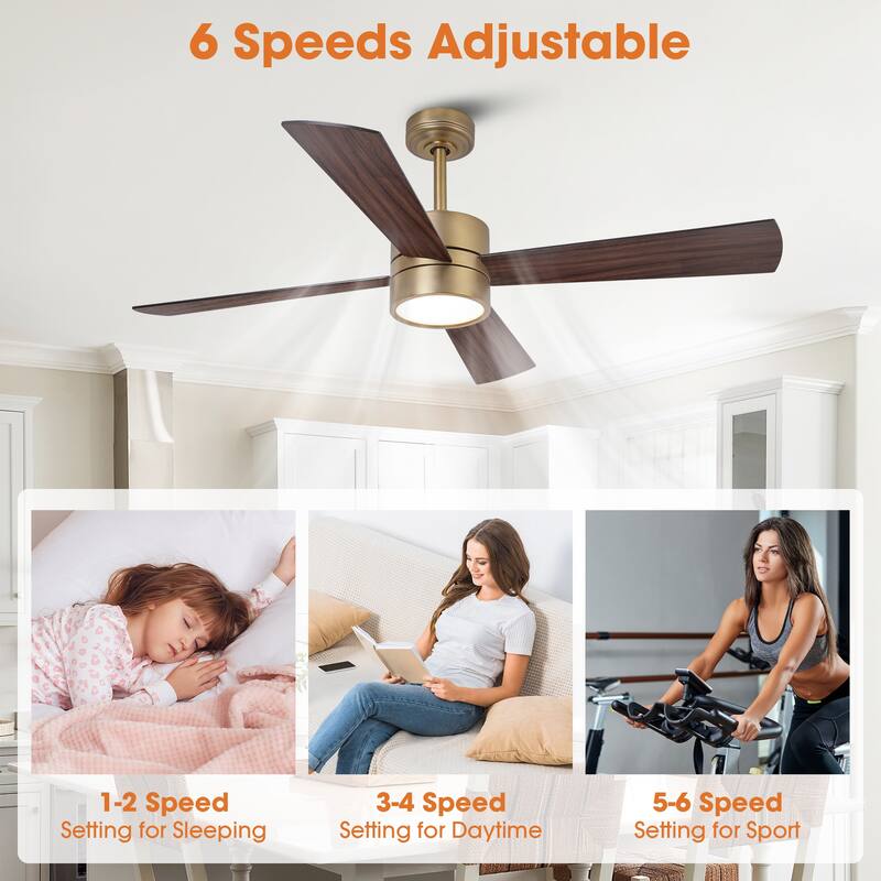 52 in. Natural Brass Plywood Indoor Downrod Mount Ceiling Fan with Integrated LED and Remote Control