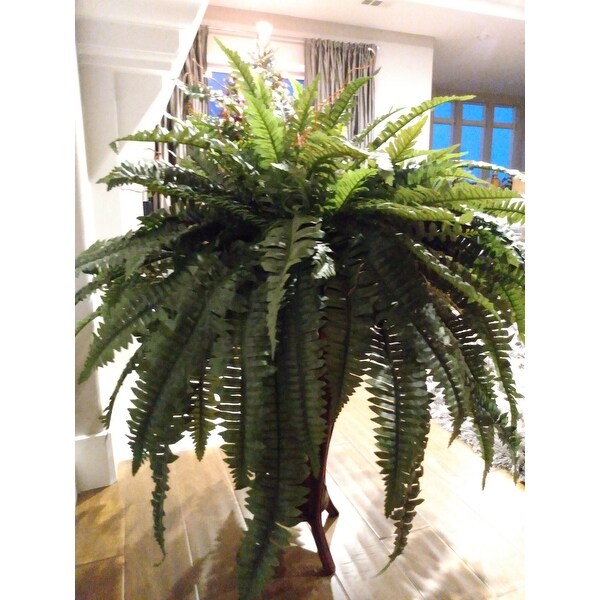Top Product Reviews For Boston Fern With Stand Silk Plant