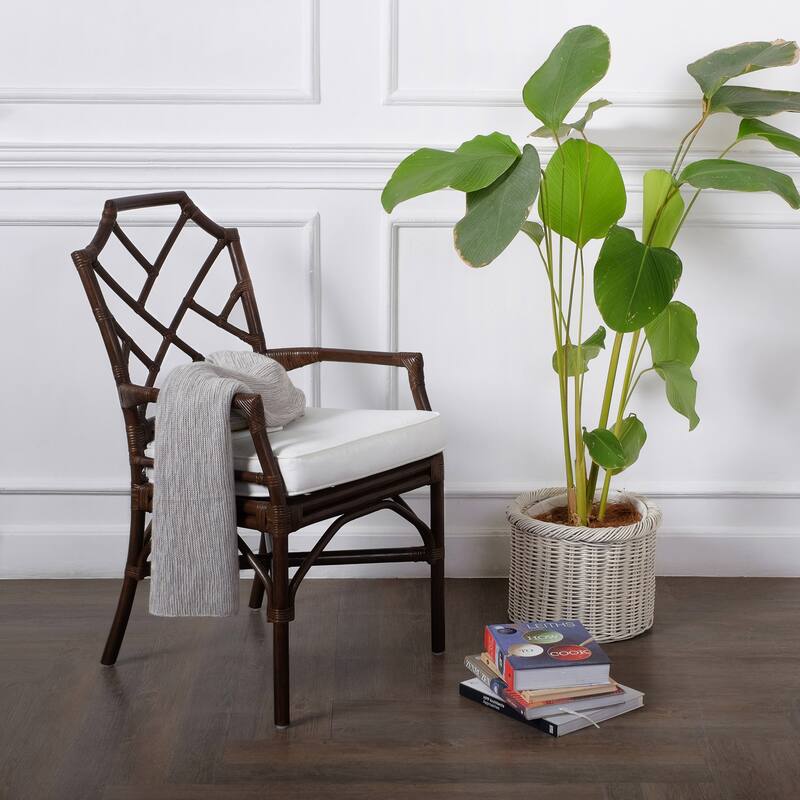 NPD Furniture Kara Rattan Arm Chair