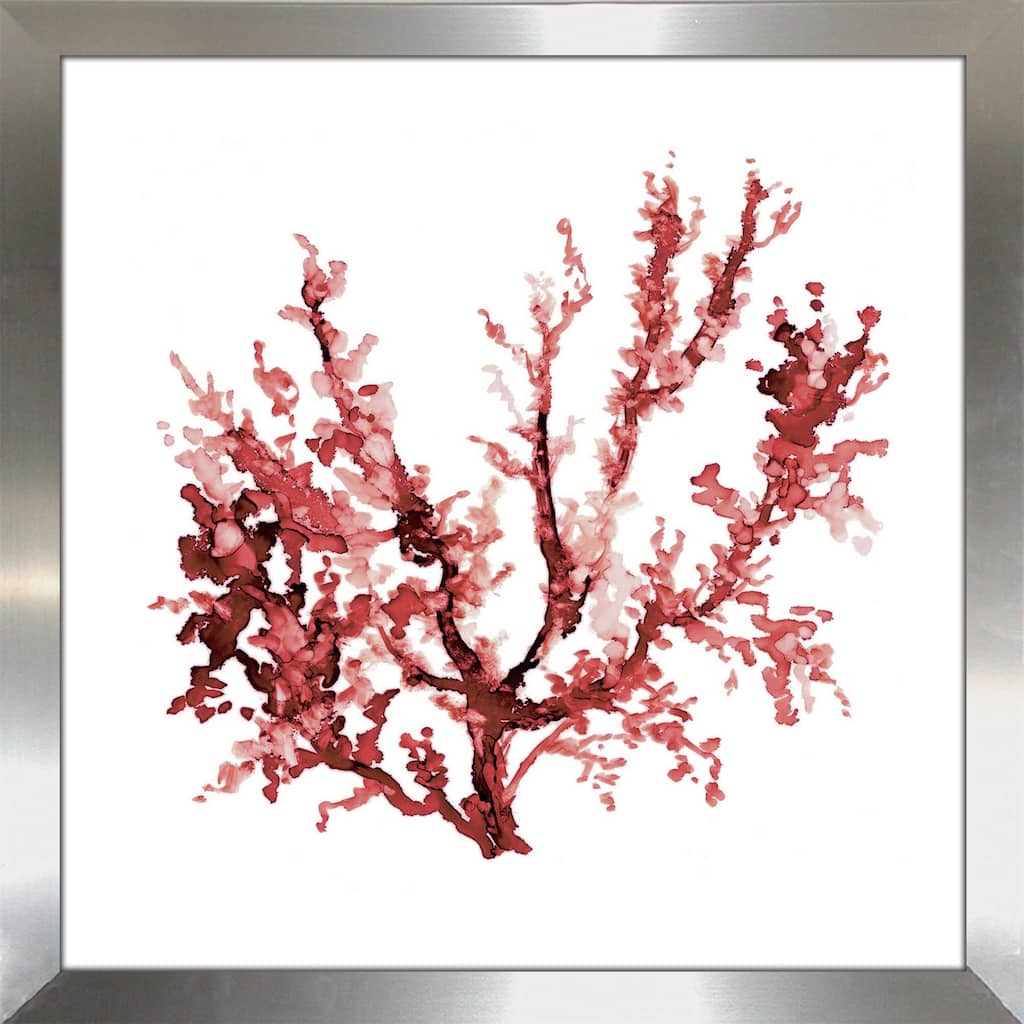 "Sea Coral III" by Carol Robinson Print on Acrylic
