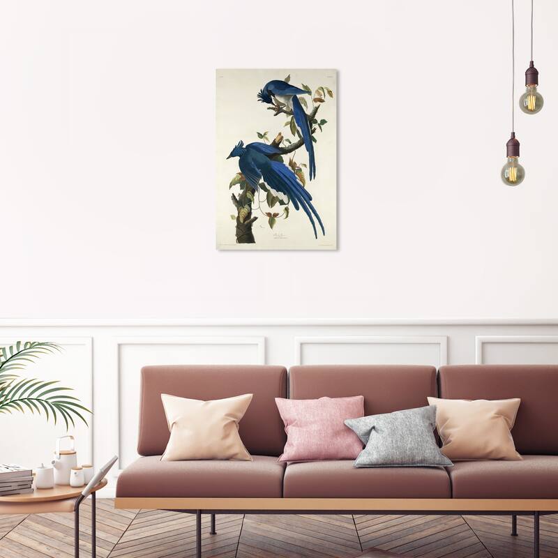 Wynwood Studio Canvas Animals Robert Havell - Columbia Jay Blue and Traditional Wall Art Canvas Print - 30 x 20
