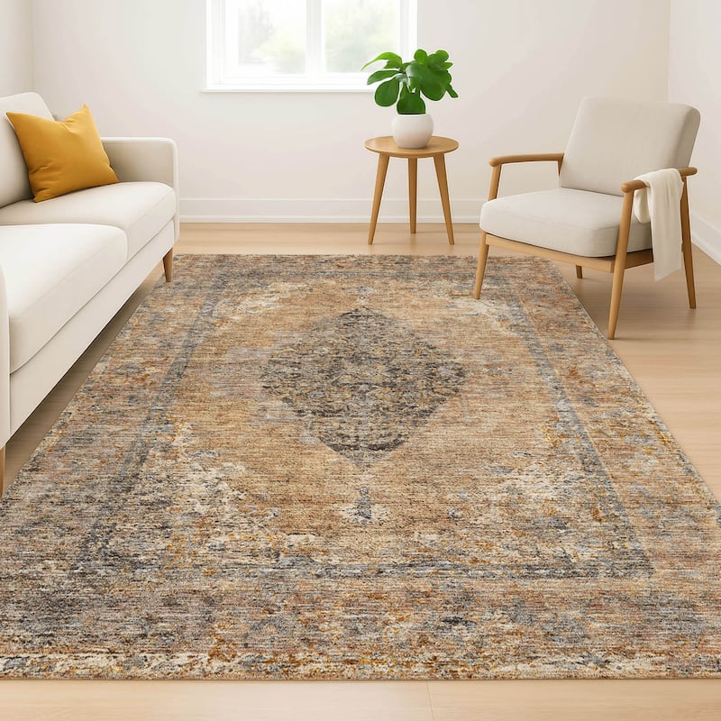 Premium Washable Super Soft Vintage Traditional Mayfield Rug