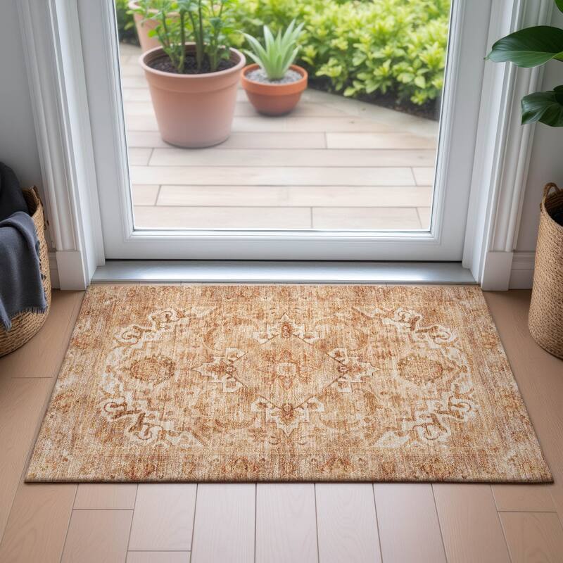 Machine Washable Indoor/Outdoor Traditional Vintage Chantille Rug