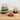 Plastic Clear 16-Piece Locking Food Container Set
