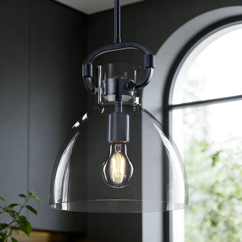 Starsky 1-Light Industrial Pendant With Glass Shade - Black