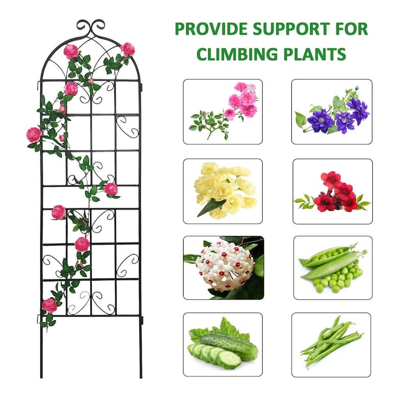 2 Pack Metal Garden Trellis outdoor Flower Support