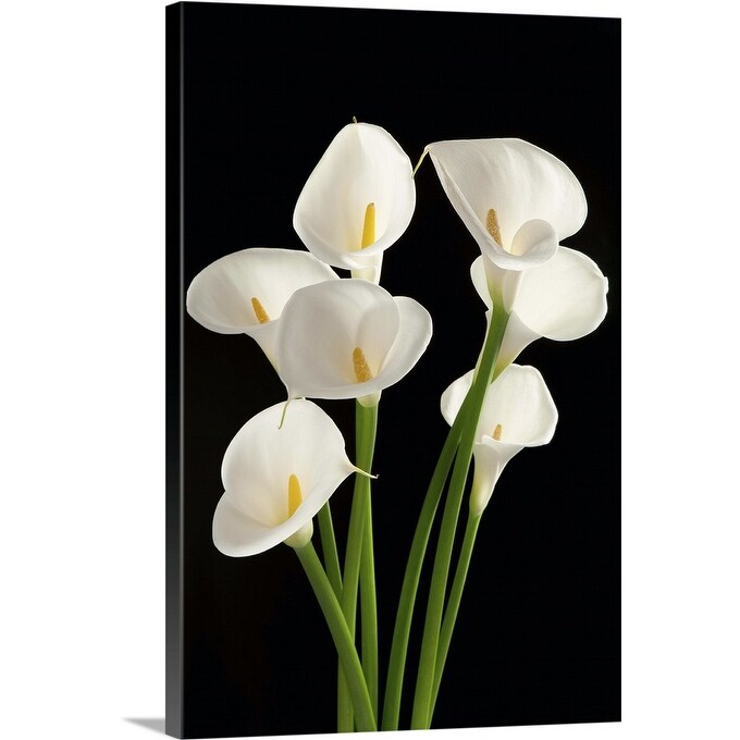 Shop Calla Lily In Black Background Canvas Wall Art Overstock