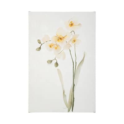 Orchid II (30 x 45) Canvas Art Print