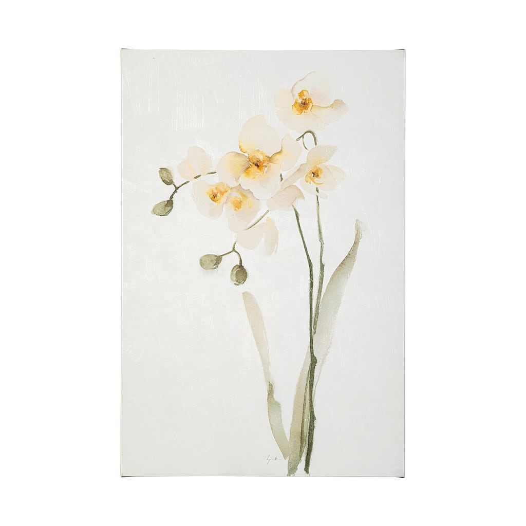 Orchid II (30 x 45) Canvas Art Print