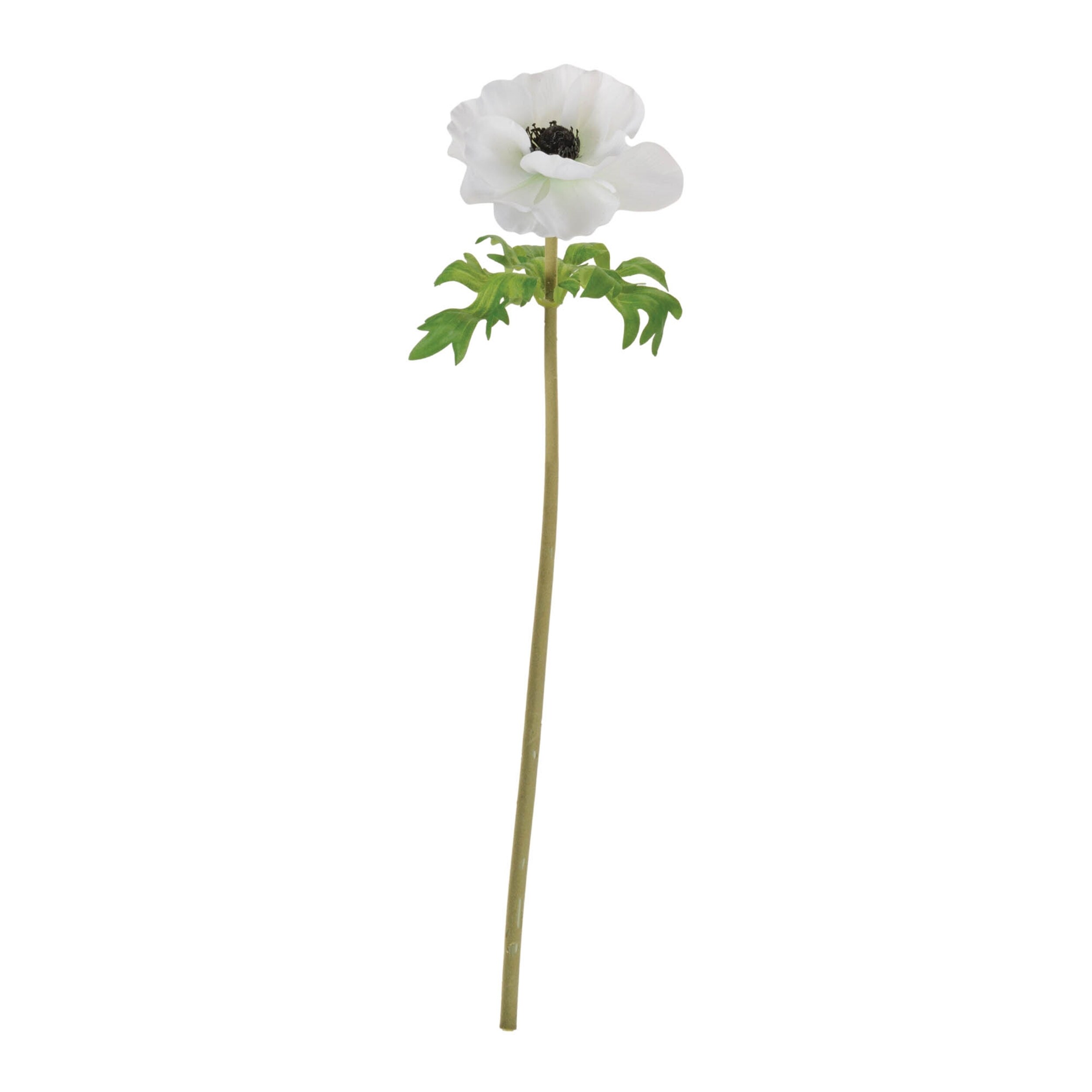 Anemone Floral Stem (Set of 6) - Bed Bath & Beyond - 44090269