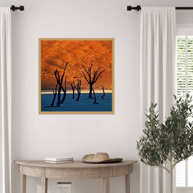 The Old Marsh by Sossusvlei Namibia Framed Canvas Wall Art Print