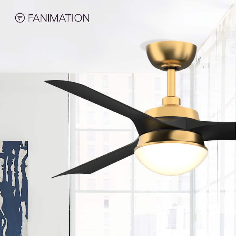 Barlow 52 inch Indoor/Outdoor Brushed Satin Brass with Black blades Ceiling Fan with LED CCT Select Light Kit and Remote