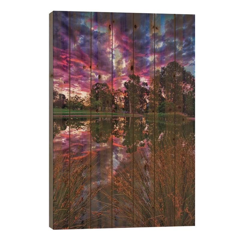 Through The Reeds Print On Wood by Ben Mulder - Multi-Color - 40x26x1.5