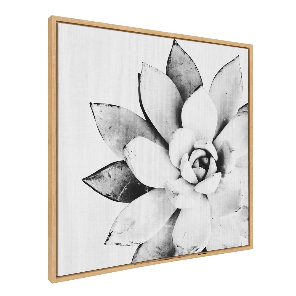 Kate and Laurel Sylvie Succulent Framed Canvas by Simon Te Tai