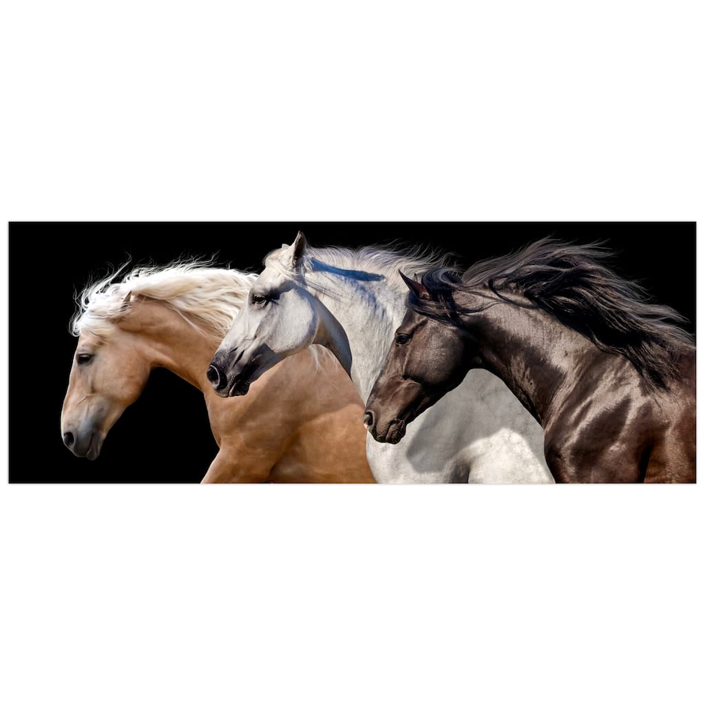 Horses Wall Art on Frameless Free Floating Tempered Glass