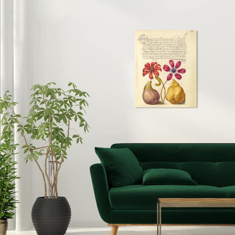 Wynwood Studio Canvas Floral and Botanical Hoefnagel - Poppy Anemone Caterpillar Fig and Quince Wall Art Canvas Print - 20 x 24