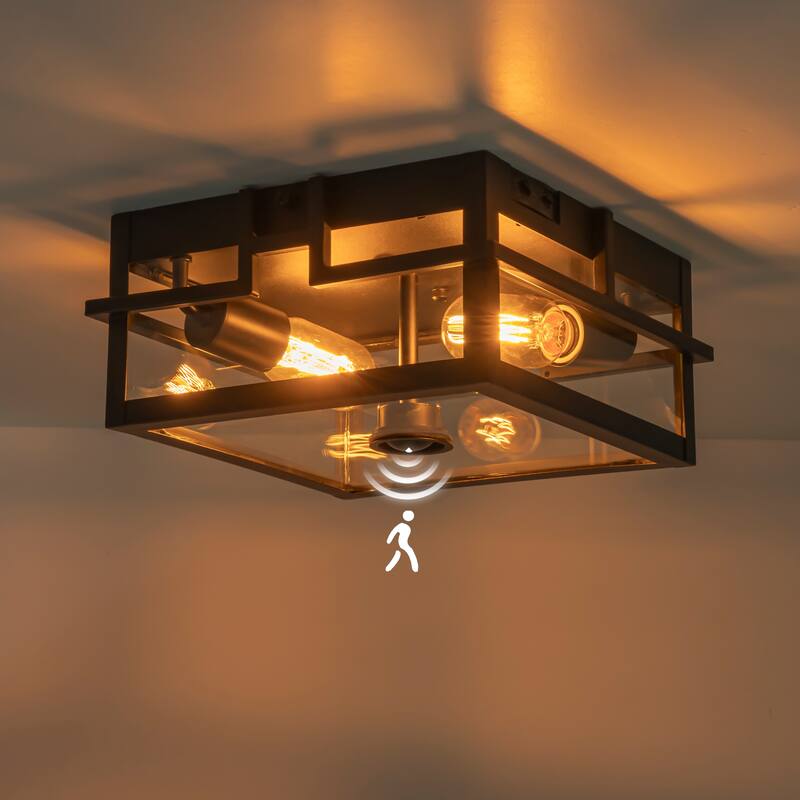 C Cattleya 2-Light Motion Sensor Outdoor Flush Mount Ceiling Light