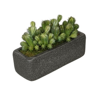 Faux Thimble Cactus Garden in Black Sandy-Texture Ceramic Vase