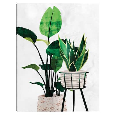 Potted Botanics II Canvas Art Print