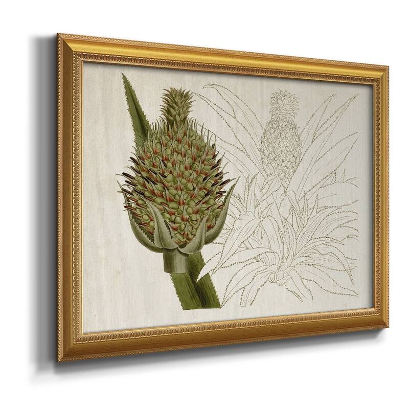Tropical Foliage & Fruit VI Premium Framed Canvas- Ready to Hang