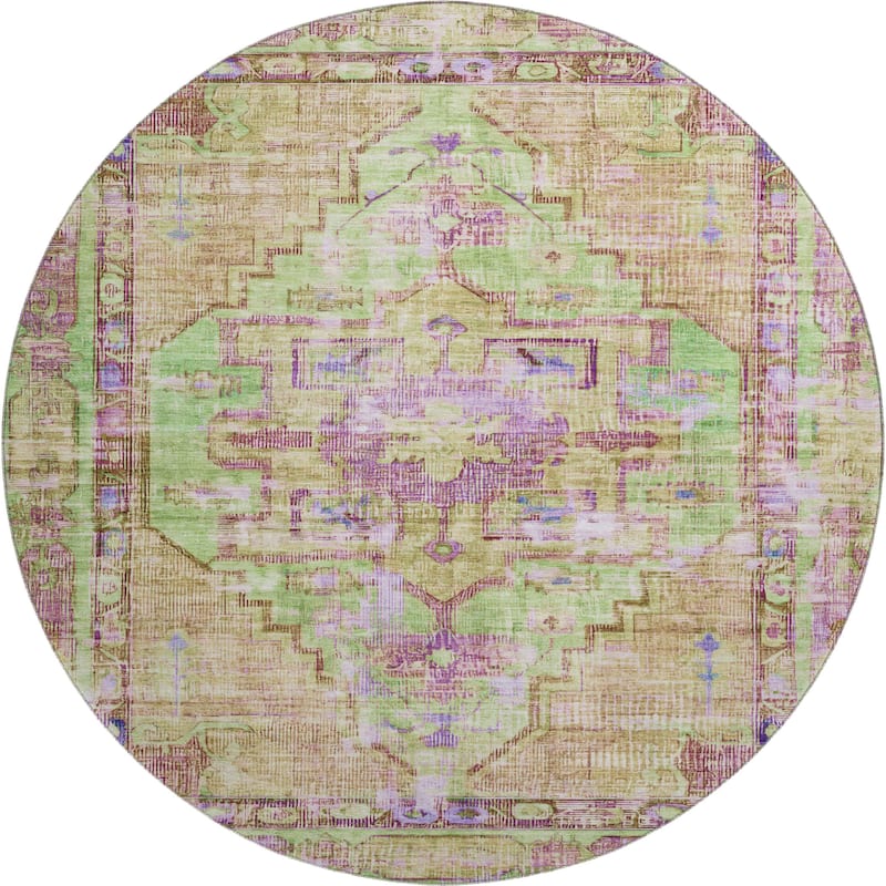 Premium Washable Super Soft Vintage Traditional Mayfield Rug