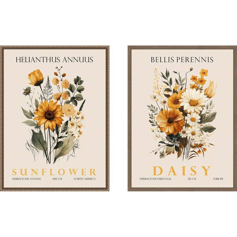 Amanti Art Vintage Sunflower & Daisy 2 Piece by Christopher Giampietro Framed Canvas Wall Art