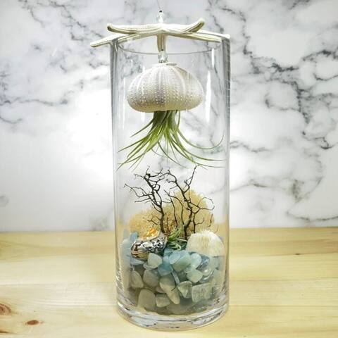 Terrarium Floating Jellyfish Coastal Scene Aquamarine Healing Stones - Fluidity, Soothing- Complete Set