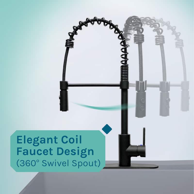 TEHILA Utility Sink Laundry Tub with Black High Arc Coil Faucet