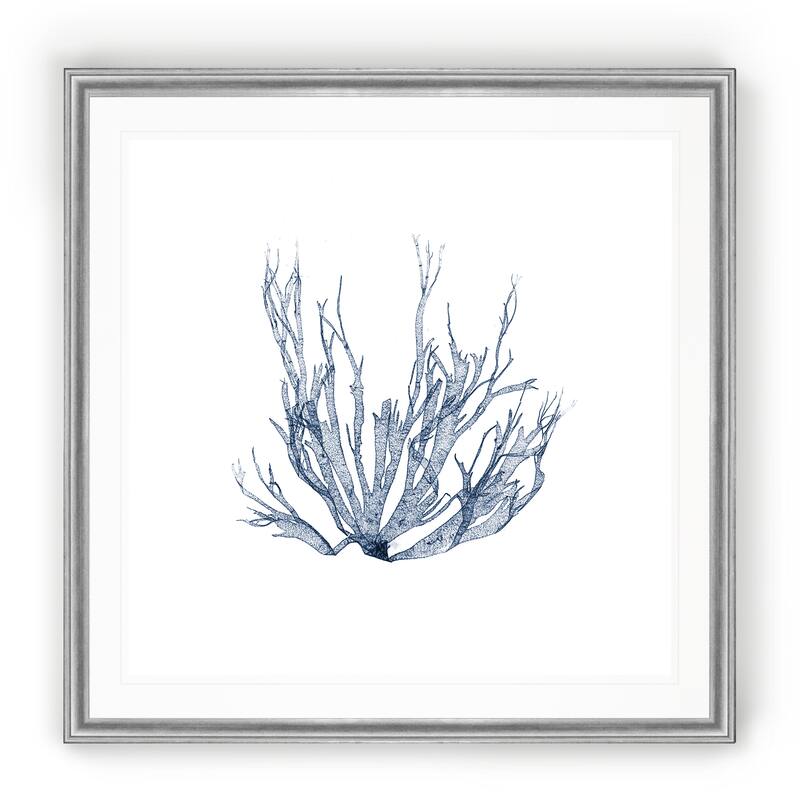 Navy Seaweed IV -Black Framed Print