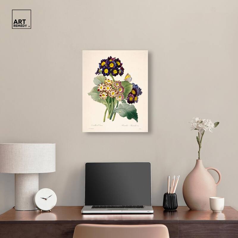Auricula Varieties Canvas by Art Remedy, Gallery Wrapped