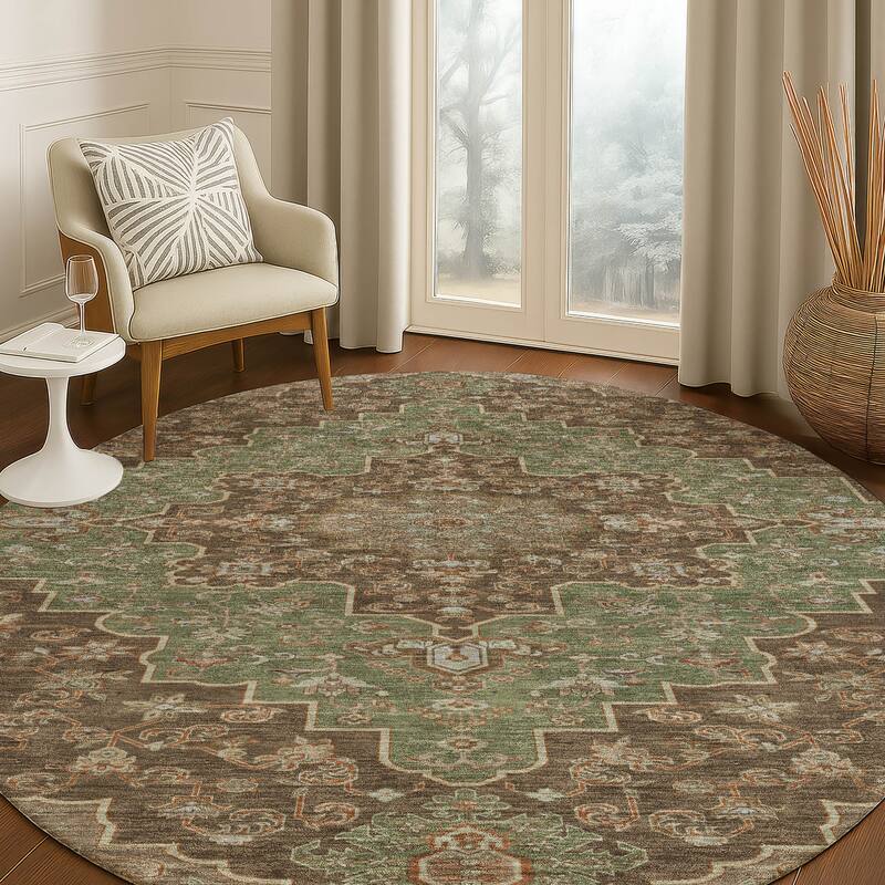 Machine Washable Indoor/ Outdoor Traditional Karachy Chantille Rug
