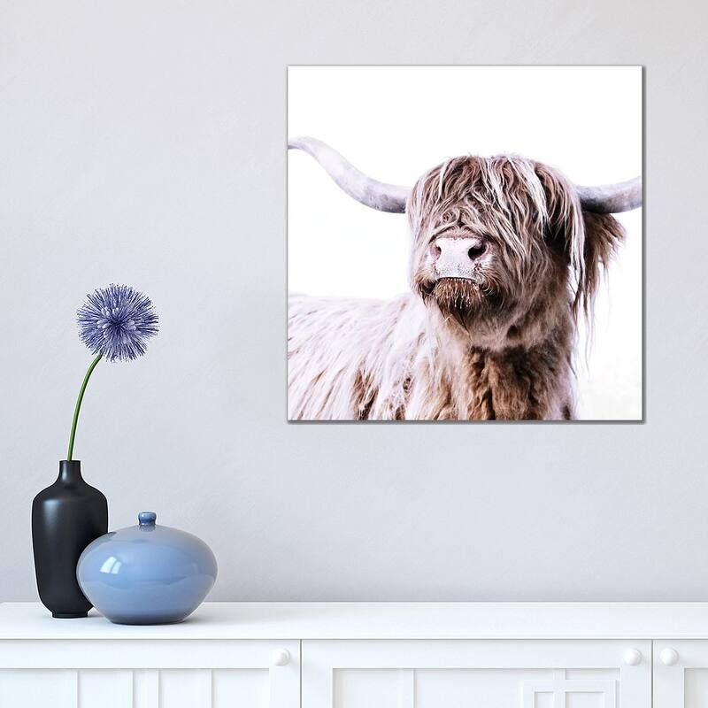 iCanvas "Highland Cattle Frida I Square" by Monika Strigel Canvas Print - 18x18x1.5