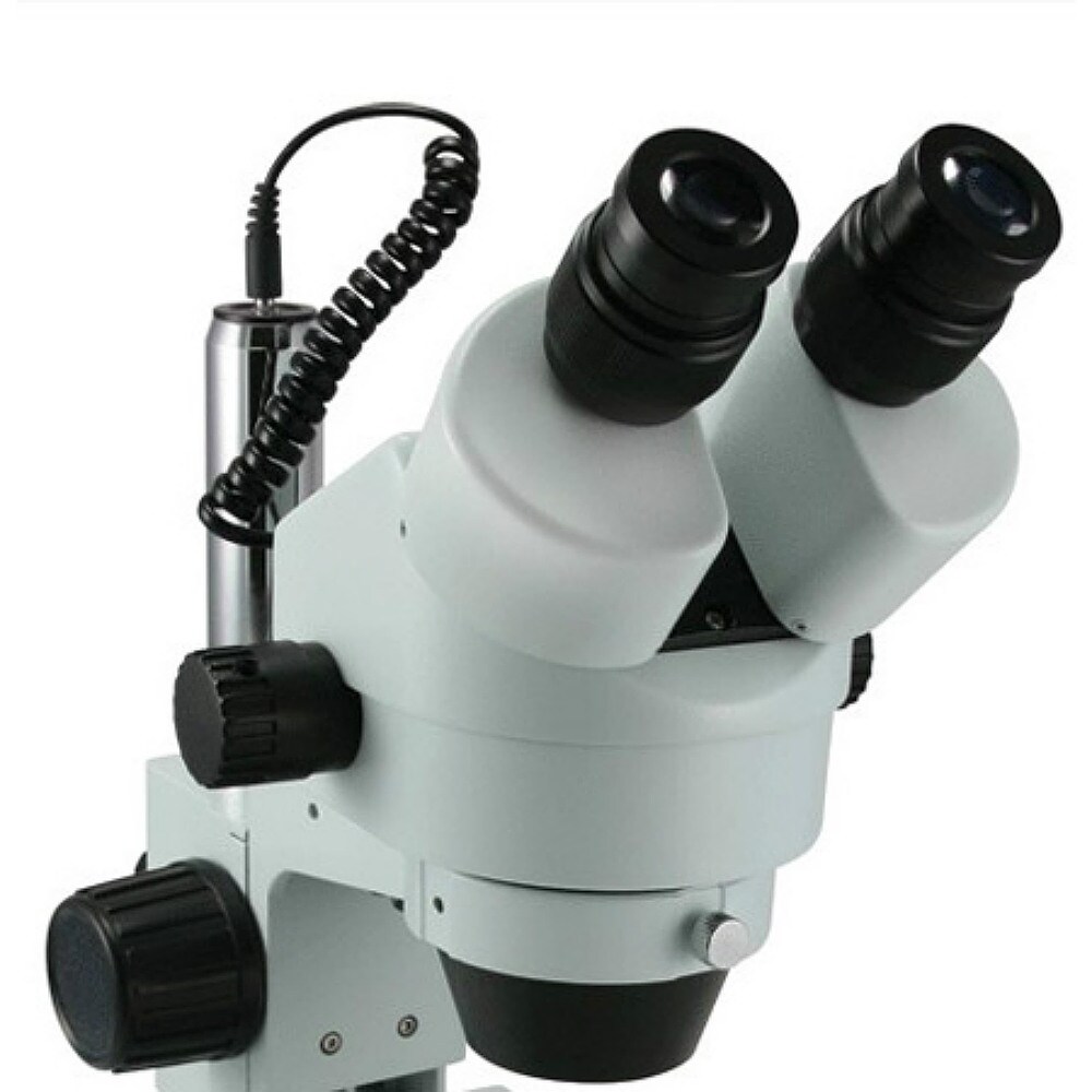 Celestron 44206 clearance