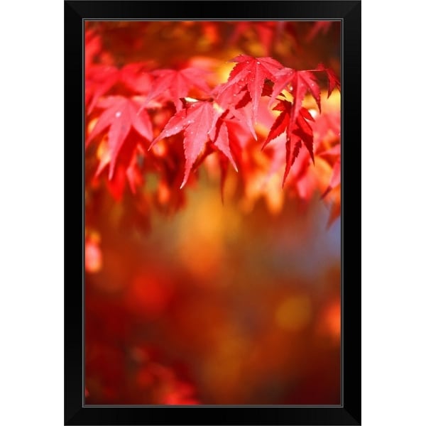 "Maple leaf in autumn (differential focus)" Black Framed Print