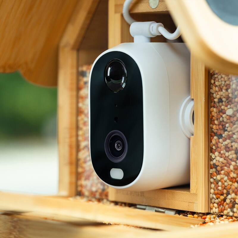Smart Solar Bamboo Bird Feeder with 3MP AI Camera, 144° Wide-Angle Lens and Daily Video Highlights