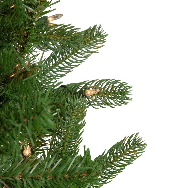 6.5' Full Sierra Noble Fir Artificial Christmas Tree, Clear Lights - 6.5 Foot
