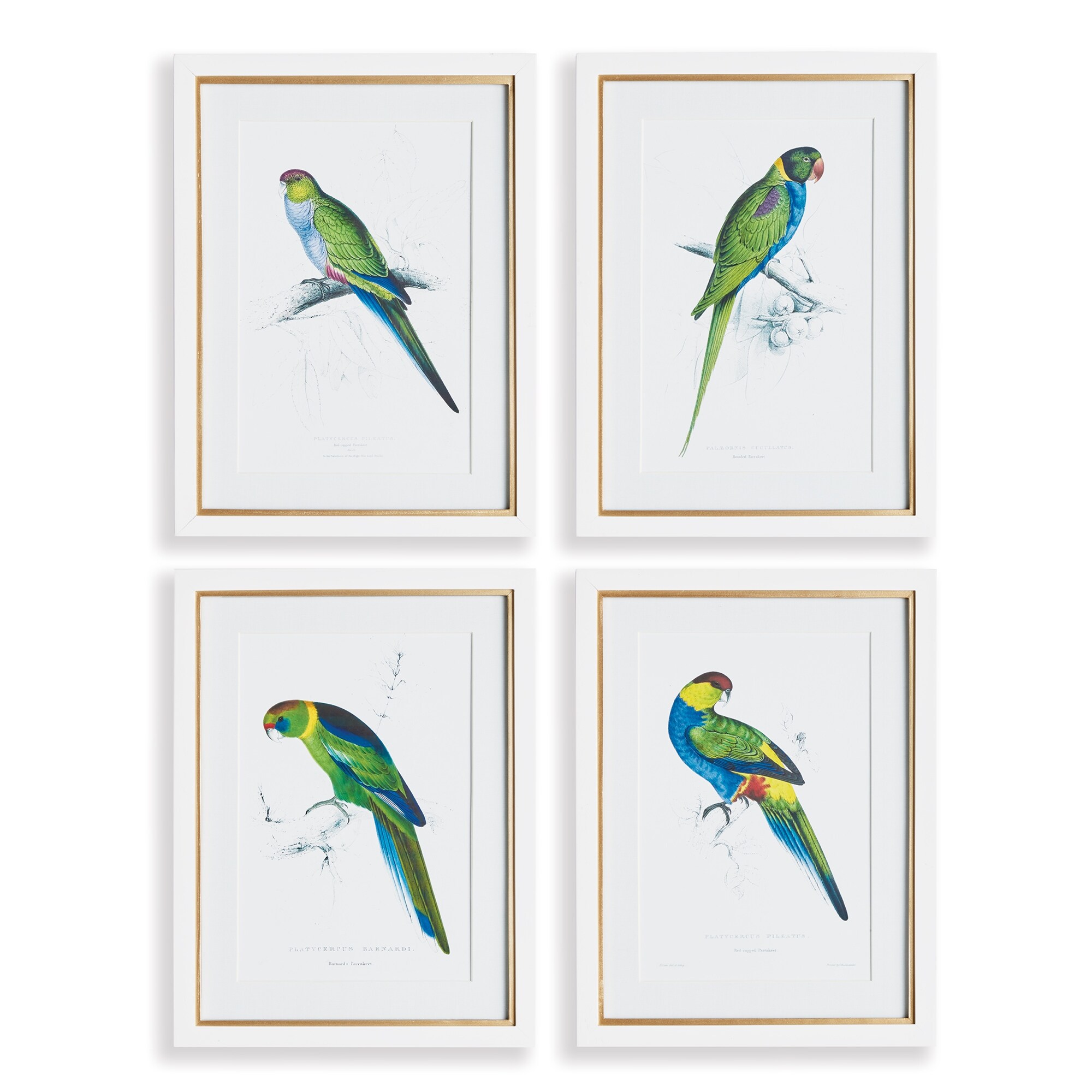 Chinoiserie Gallery, Set Of 8 - Overstock - 38266233