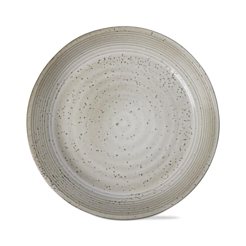 Loft Speckled Reactive Glaze Stoneware Dinnerware Plate 10 inch Latte Dishwasher Safe - 10 x 10