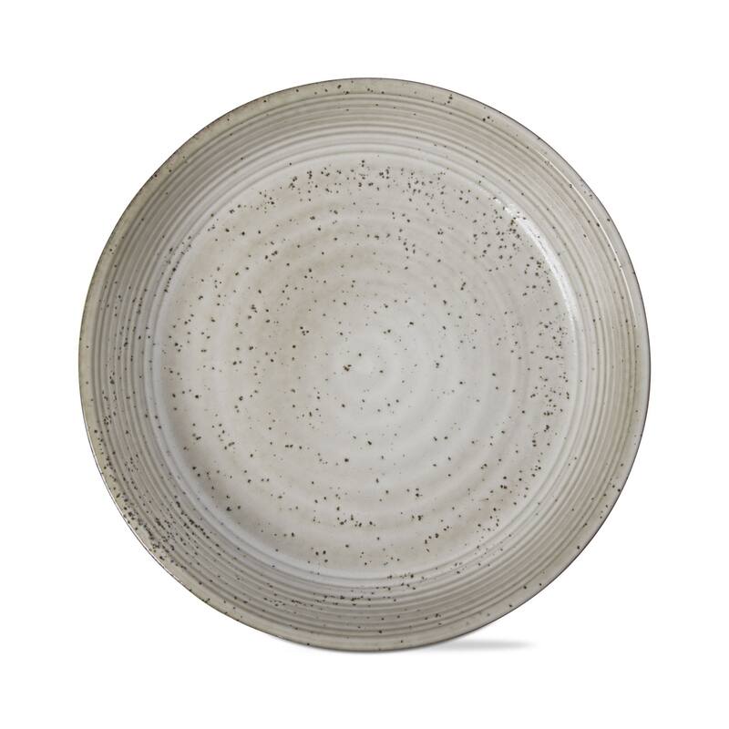 Loft Speckled Reactive Glaze Stoneware Dinnerware Plate 10 inch Latte Dishwasher Safe Set 4 - 10 x 10