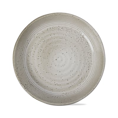 Loft Speckled Reactive Glaze Stoneware Dinnerware Plate 10 inch Latte Dishwasher Safe Set 4 - 10 x 10