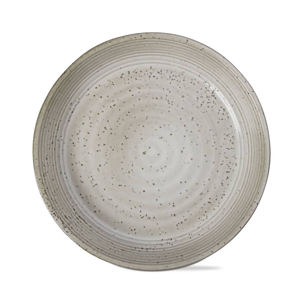 Loft Speckled Reactive Glaze Stoneware Dinnerware Plate 10 inch Latte Dishwasher Safe Set 4 - 10 x 10